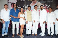 You Are My Hero Movie Pre Release Event